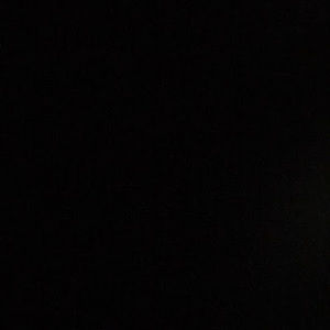 Meet your Posher, Camille